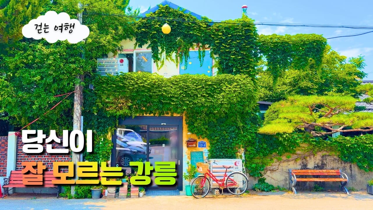 강릉에 이런 곳이 있었다고? 세계건축대상을 받은 비밀 사찰부터 천년의 국보까지 📜✨ | 대중교통 당일치기 여행