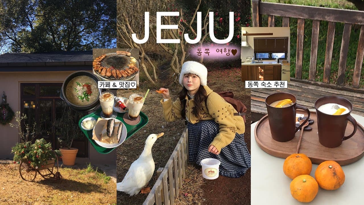 제주도 동쪽 여행 브이로그 2박3일🍊 동쪽에서 무조건 가야할코스 ✶⋆.˚ ㅣ뷰 좋은 맛집, 동쪽 카페 추천, 제주감성숙소, 제주목장, 소품샵까지)