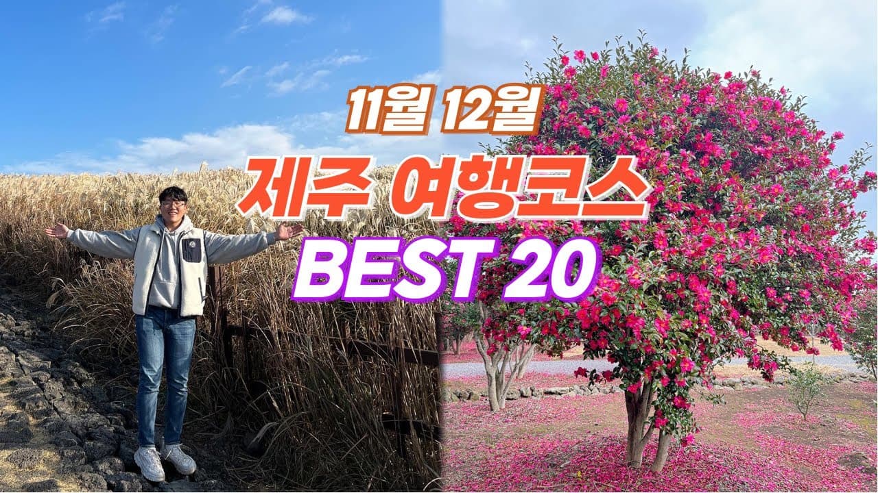 11월 12월 제주여행 추천 코스 BEST 20 🎄 날씨가 추워져도 예쁜 곳이 넘쳐나는 가을 겨울 제주도 여행지 추천