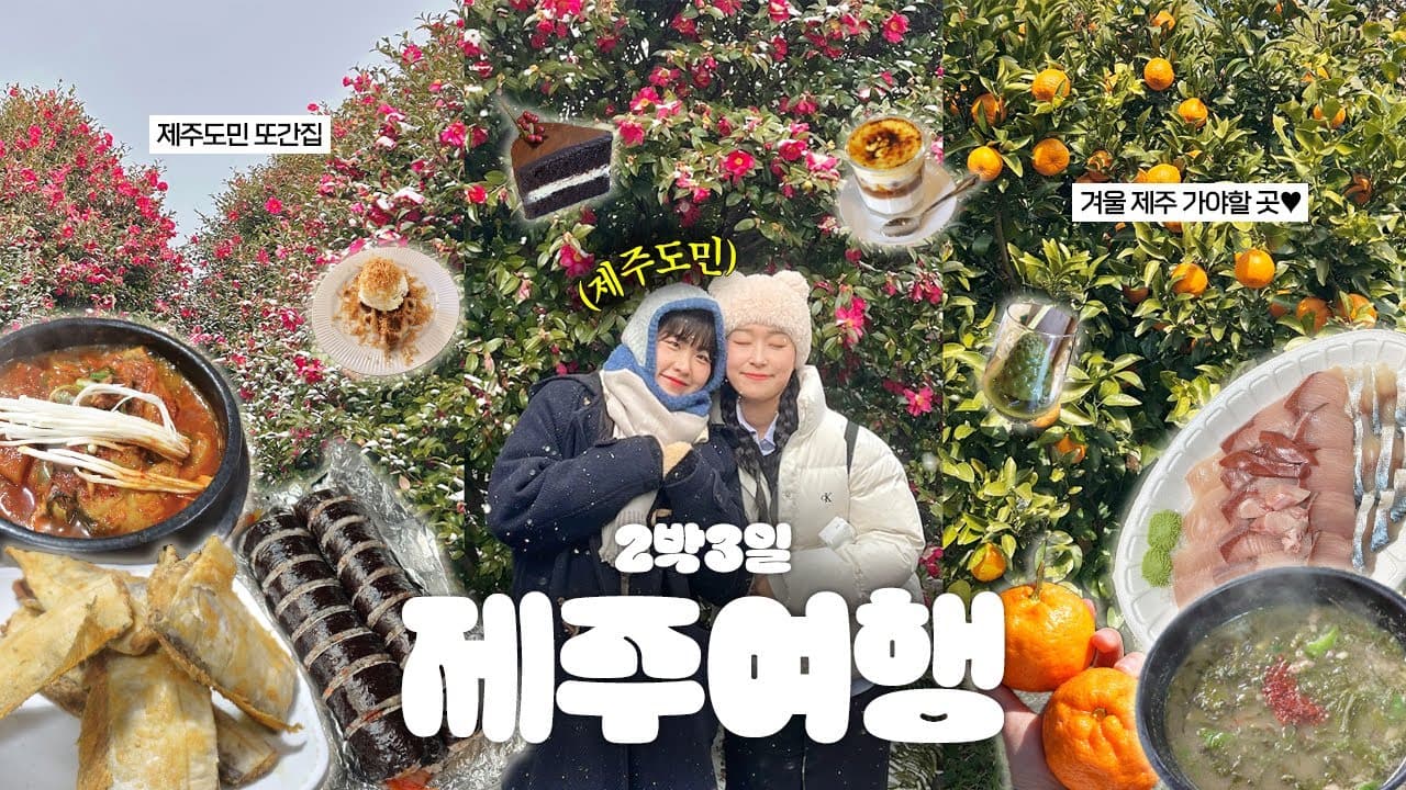𝐕𝐥𝐨𝐠 실패없는 제주 여행코스⭐️ 제주도민과 함께한 2박3일 제주도여행 브이로그🍊ㅣ서귀포, 로컬 맛집, 카페 추천, 동백포레스트, 올레시장💬