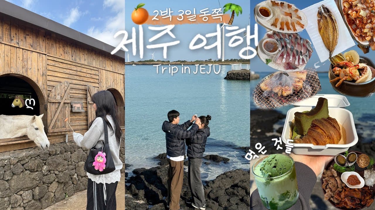 나.. 외 제주도를 안 갔어..?🍊제주도에 반해서 온 여행브이로그 | 동쪽 여행코스 추천 | 구좌읍 로컬맛집 | 차크닉 스팟🚘 | 미리크리스마스 | 귤따기 체험 | 시장 구경