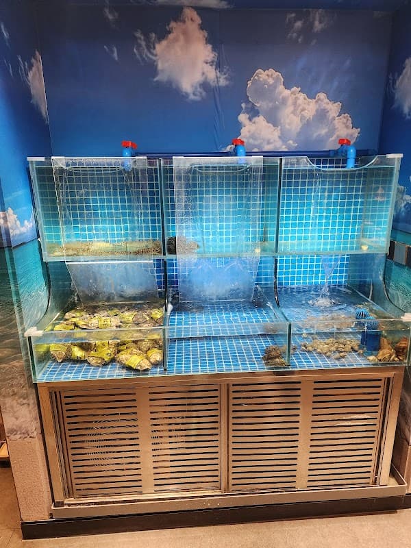 하이디라오 대련