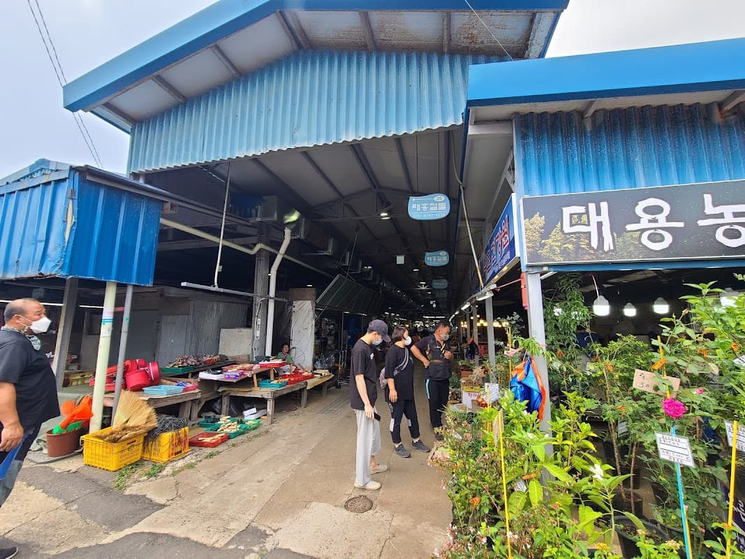 모슬포 오일장