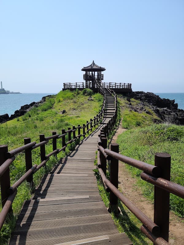 닭머르