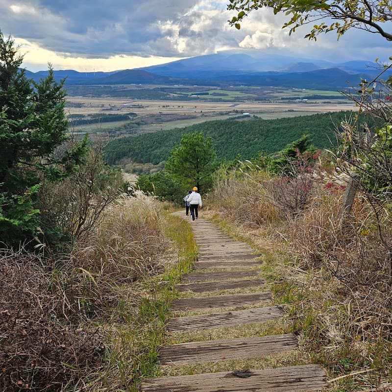대록산