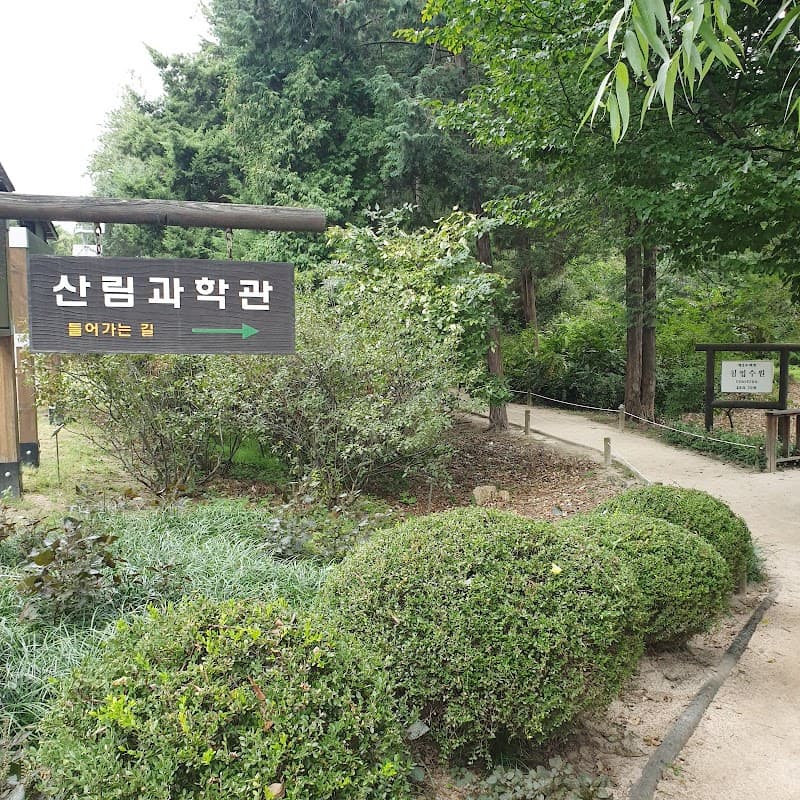 홍릉숲