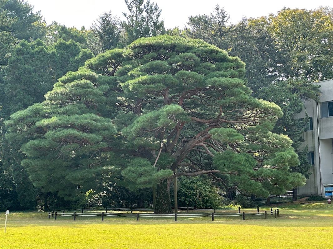 산림과학관