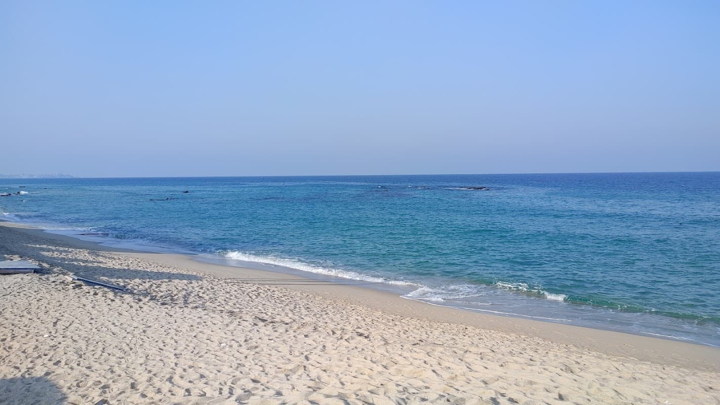하평 해변
