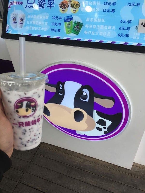 요거트 카우