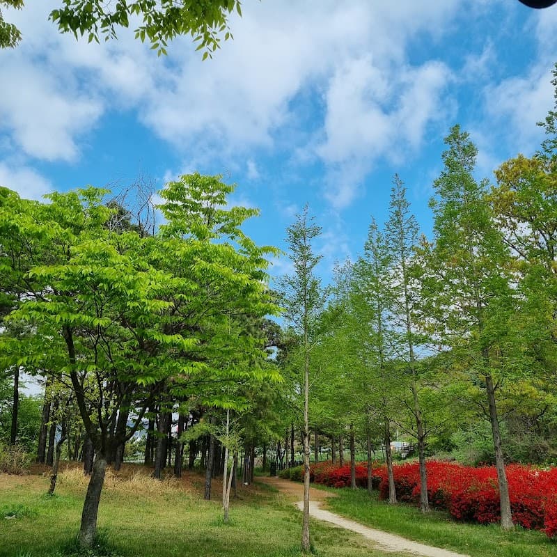 세계평화의숲
