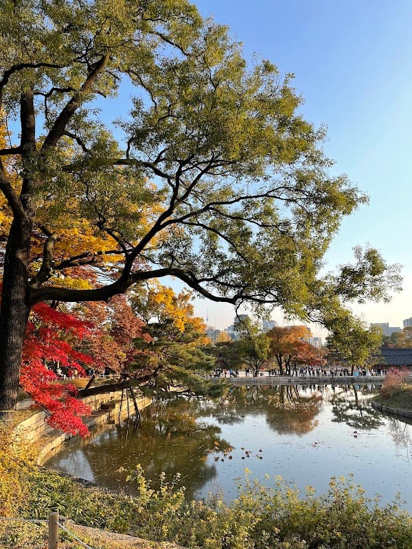 향원정