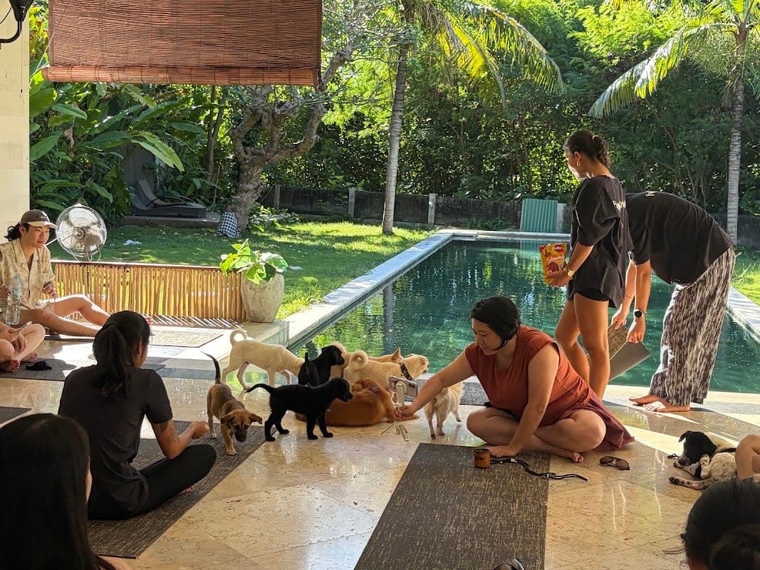퍼피요가 발리 Puppy Yoga Bali