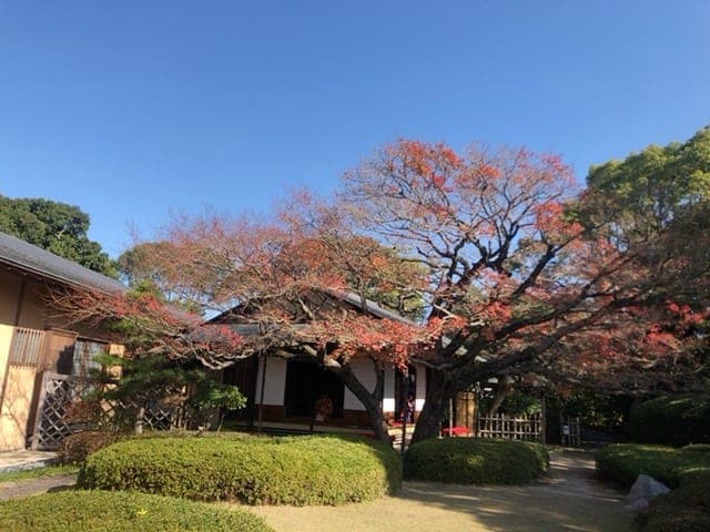 쇼후엔