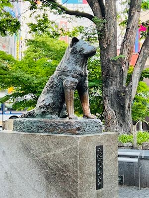 하치 동상