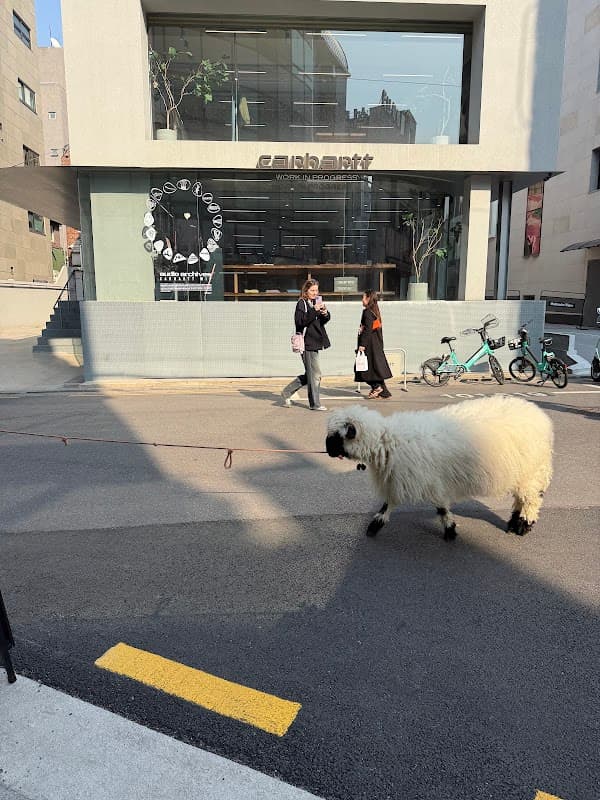 가로수길