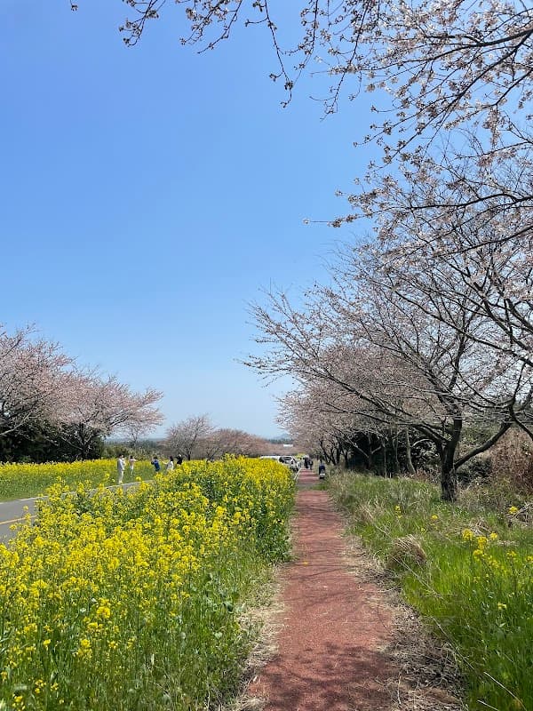 녹산로