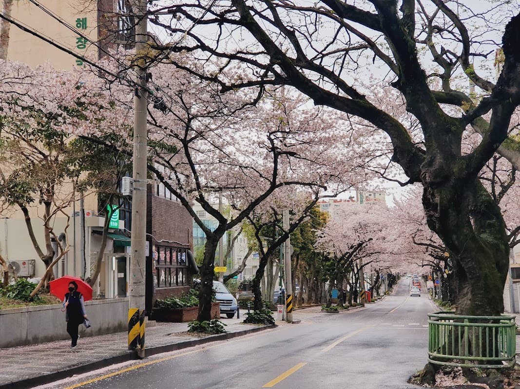전농로