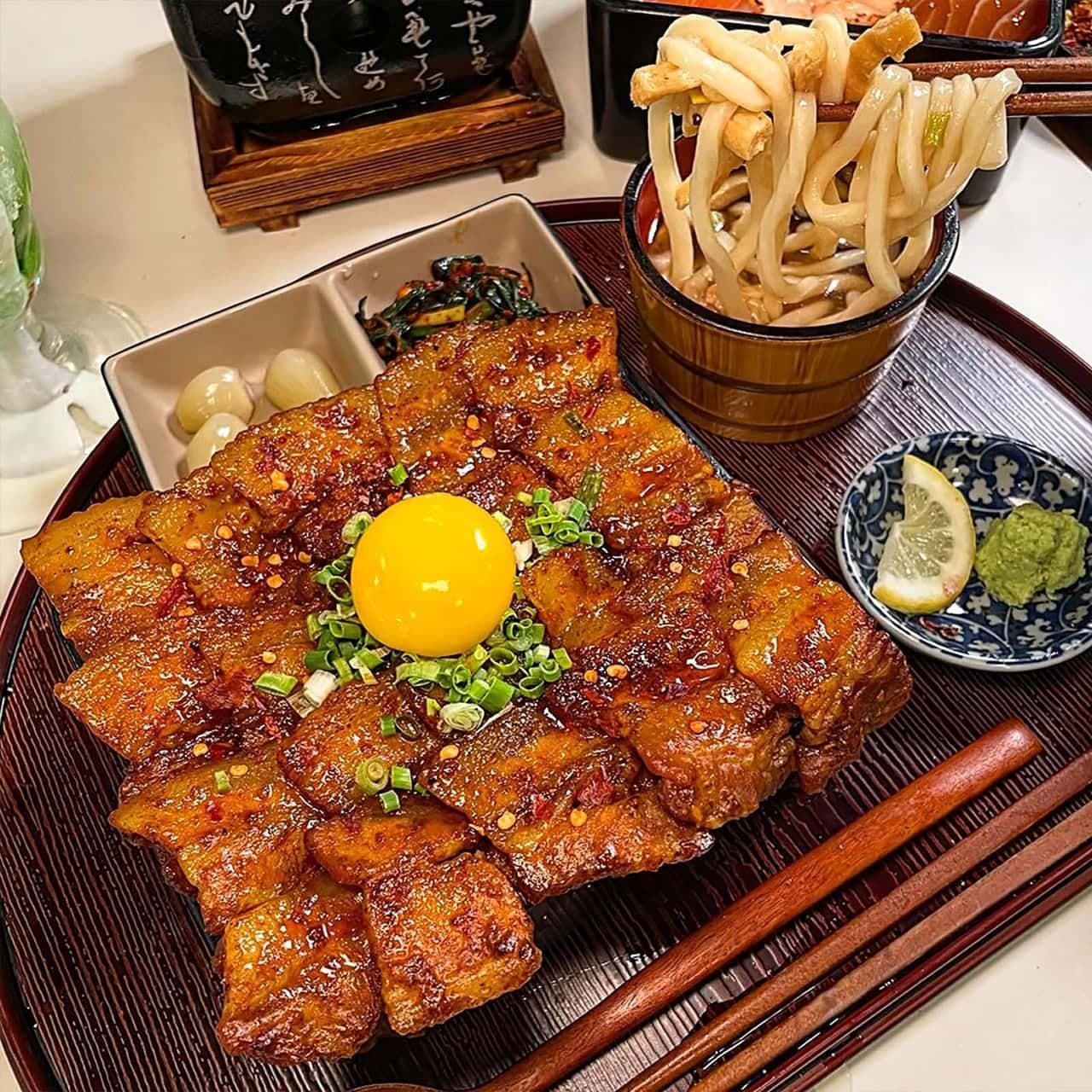 히사시돈부리