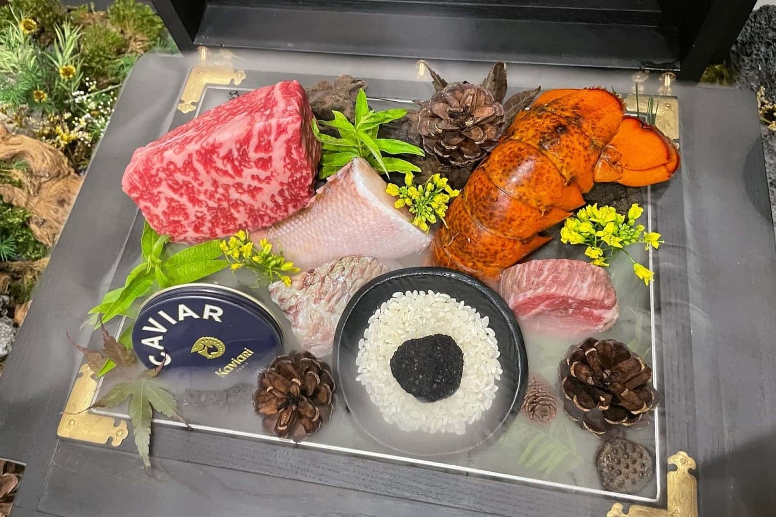 고우가 광화문