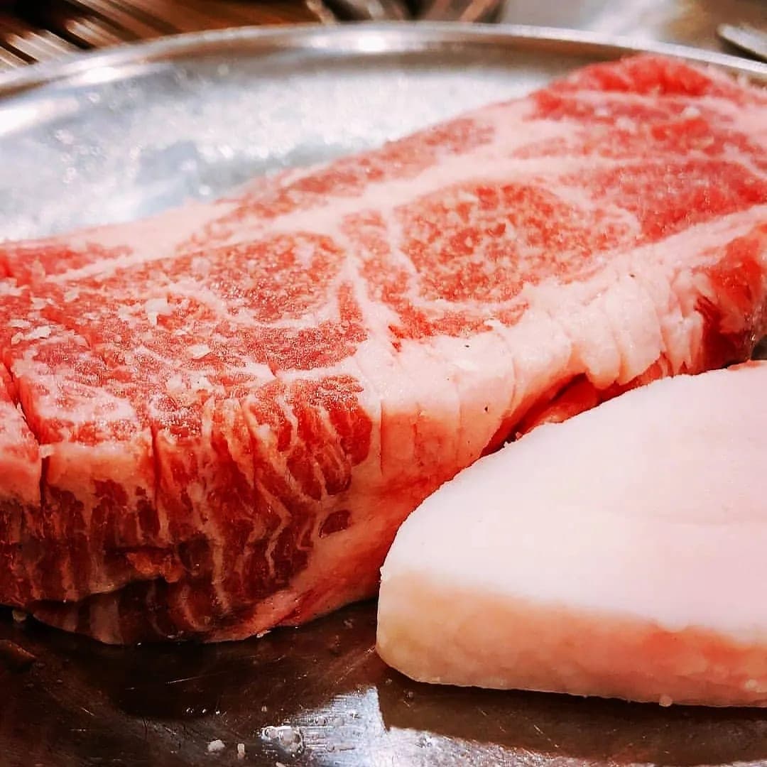 을지육점
