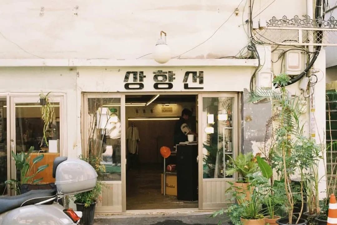상향선