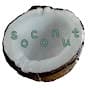 소코넛 soconut